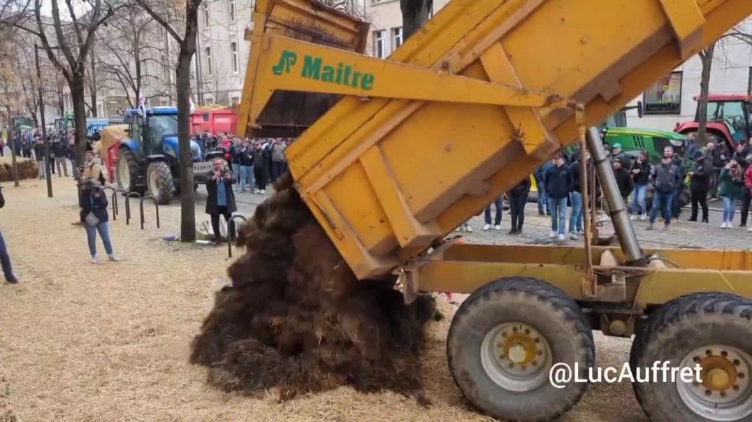 Разгневанные французские фермеры продолжают забрасывать навозом префектуры