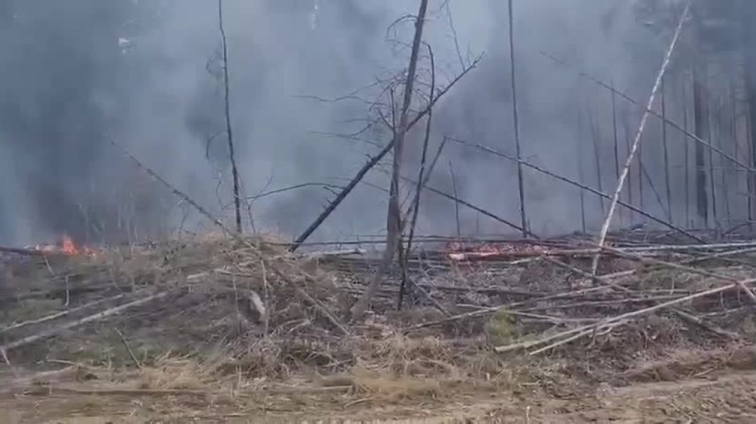 ⁣Лесные пожары охватили несколько районов Бурятии, в том числе близ пгт Усть-Баргузин и Куйтунское