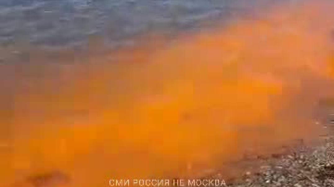 Оранжевое море: во Владивостоке в бухте Фëдорова вода окрасилась в неественный яркий цвет. Всему вин